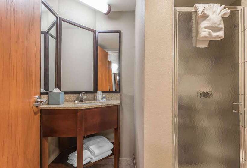 ホテル Comfort Inn Sw Omaha I80