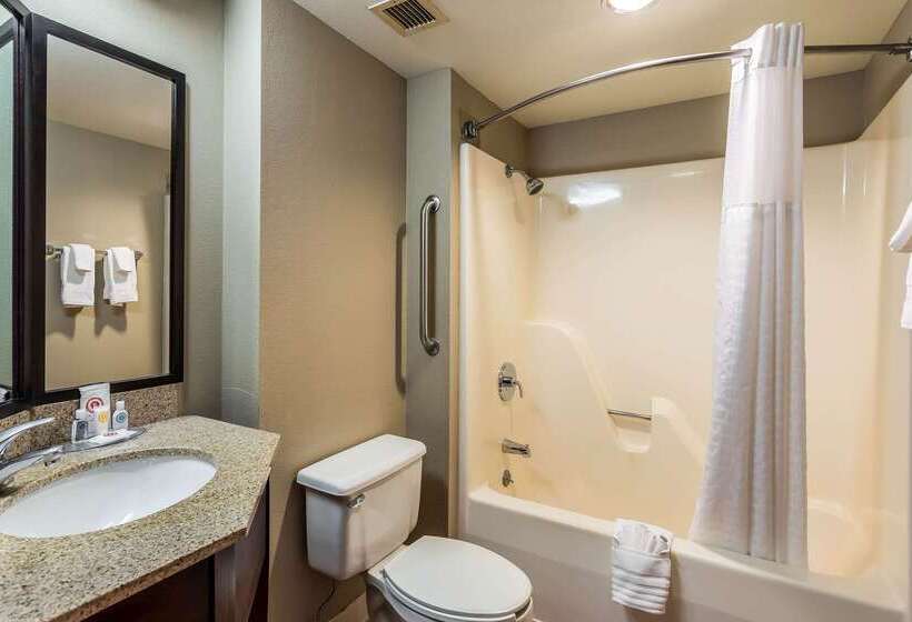هتل Comfort Inn Sw Omaha I80