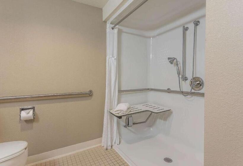 هتل Comfort Inn Sw Omaha I80
