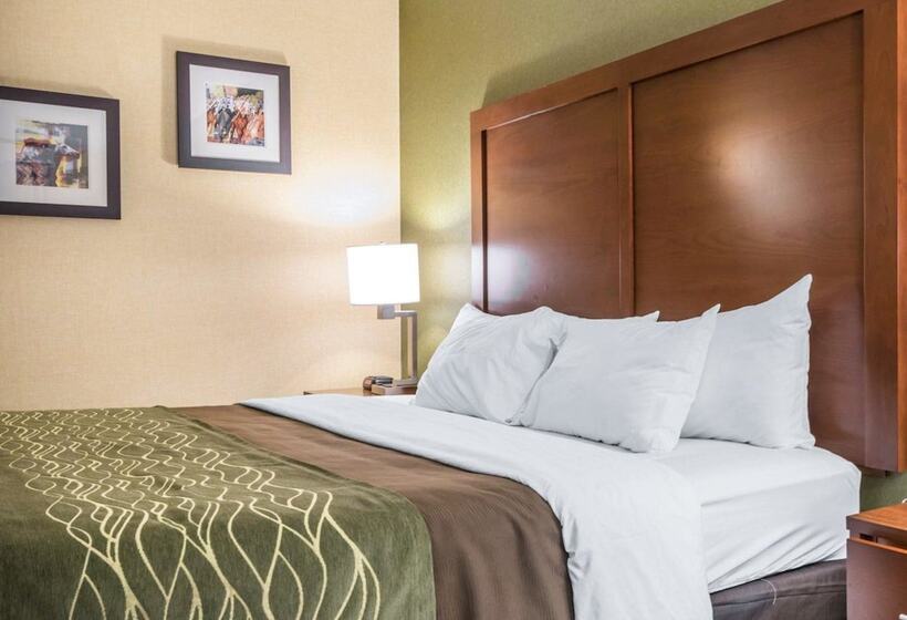 בית מלון כפרי Comfort Inn