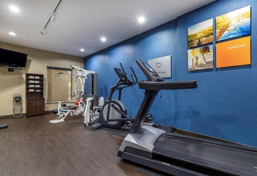 فندق Comfort Suites