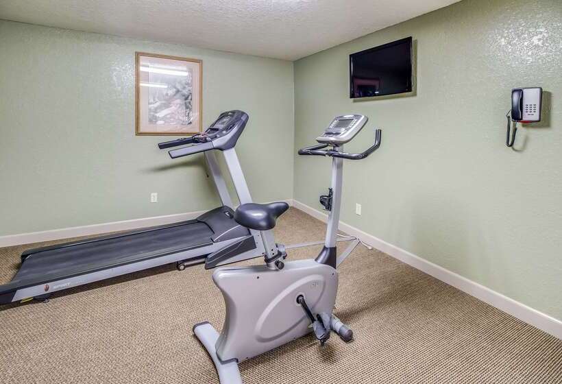 هتل Econo Lodge, Downtown Custer Near Custer State Park And Mt Rushmore