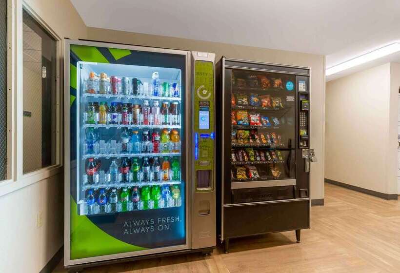 酒店 Extended Stay America Suites  Washington, D.c.  Centreville  Manassas