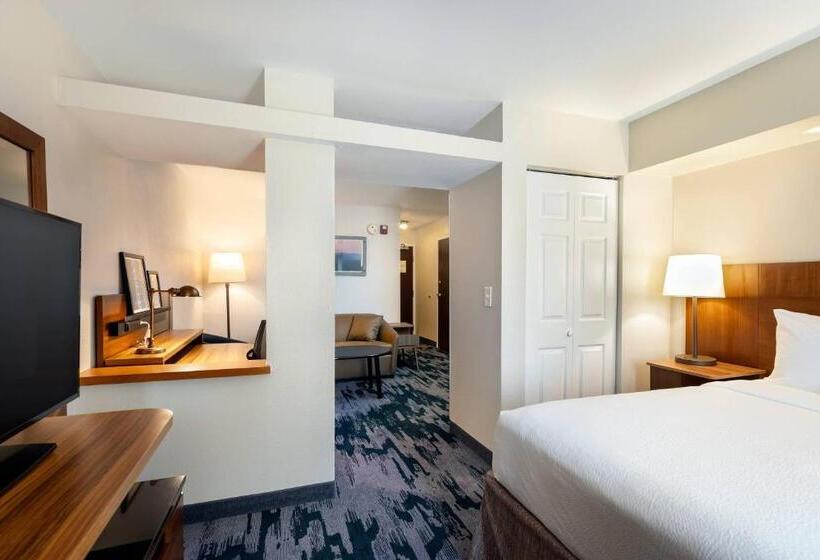 호텔 Fairfield Inn & Suites Savannah Airport