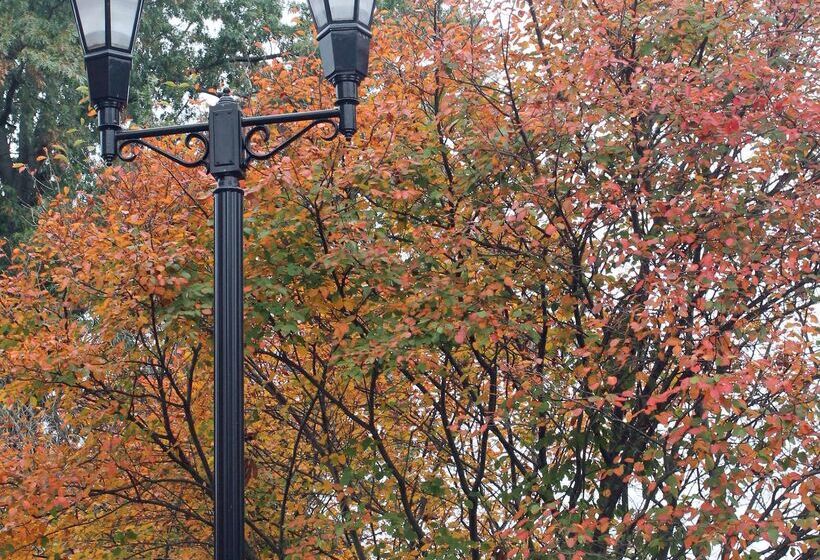 فندق Hampton Inn Gallipolis