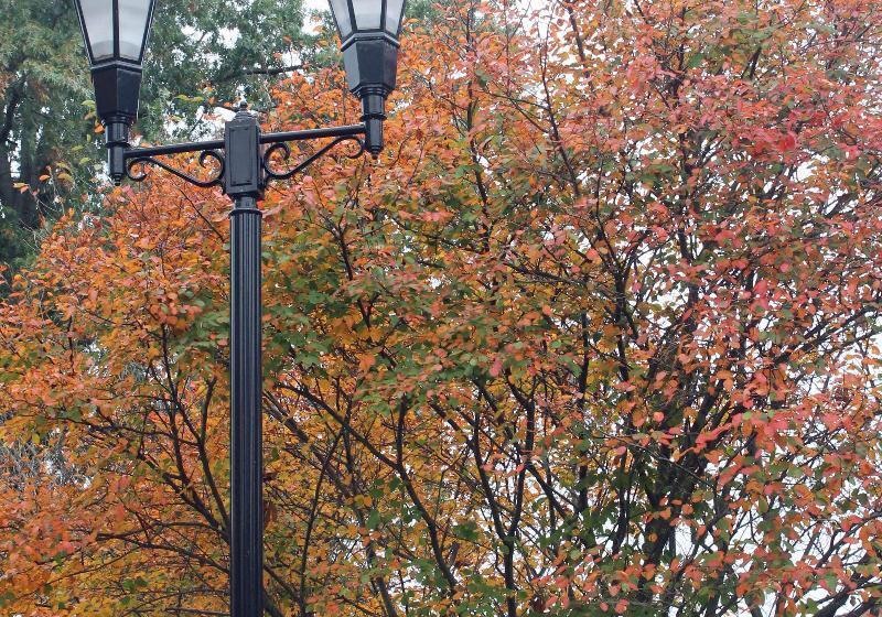 فندق Hampton Inn Gallipolis