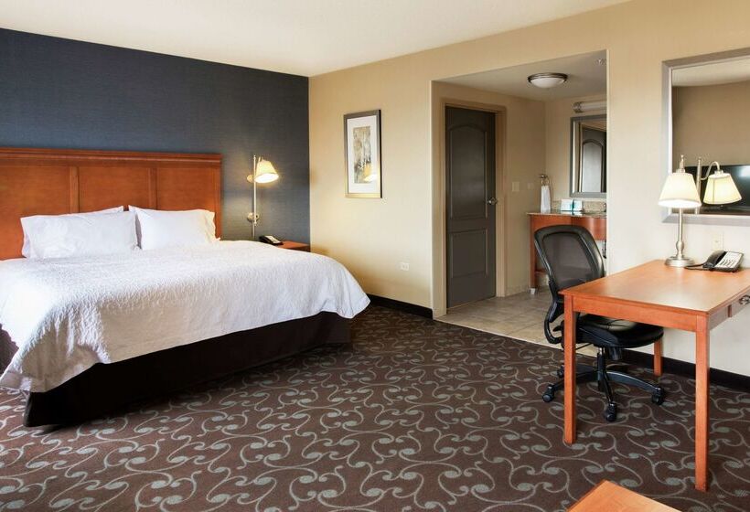 فندق Hampton Inn & Suites Chicago Deer Park