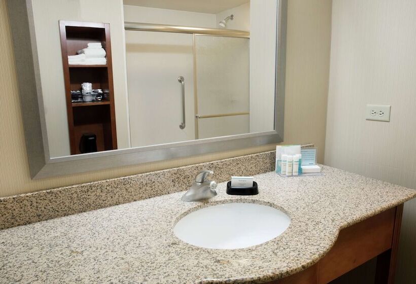 فندق Hampton Inn & Suites Chicago Deer Park