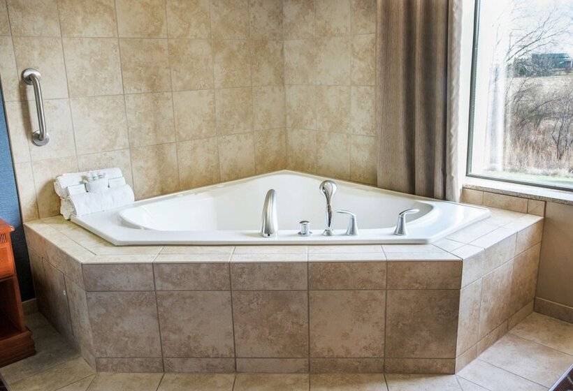 فندق Hampton Inn & Suites Chicago Deer Park