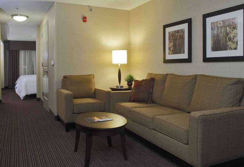 酒店 Hilton Garden Inn Clovis