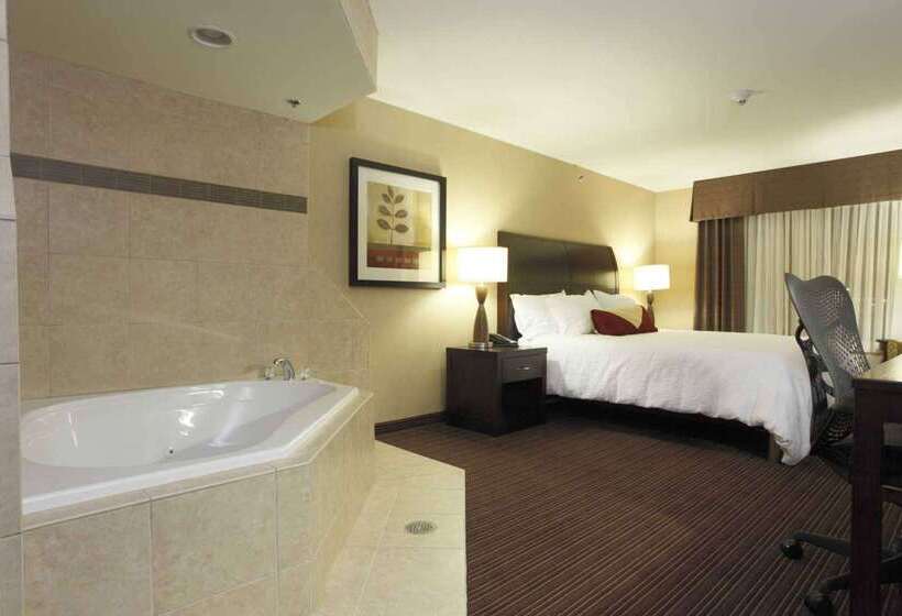 هتل Hilton Garden Inn Clovis