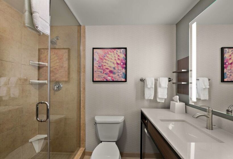 ホテル Hilton Garden Inn Omaha East/council Bluffs