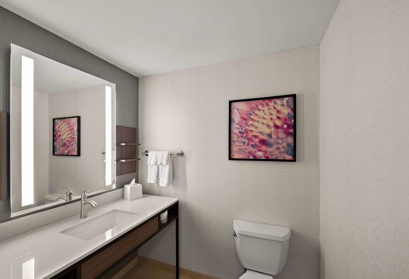 هتل Hilton Garden Inn Omaha East/council Bluffs
