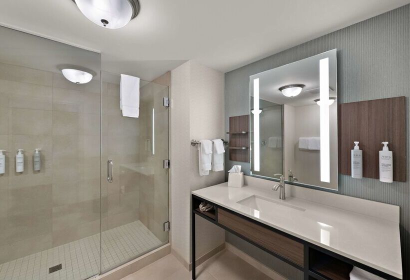 ホテル Hilton Garden Inn Omaha East/council Bluffs