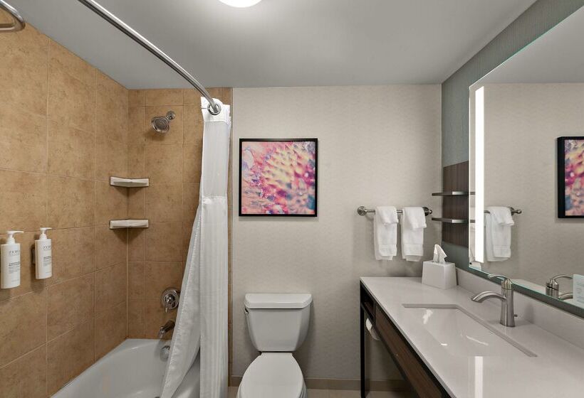 هتل Hilton Garden Inn Omaha East/council Bluffs