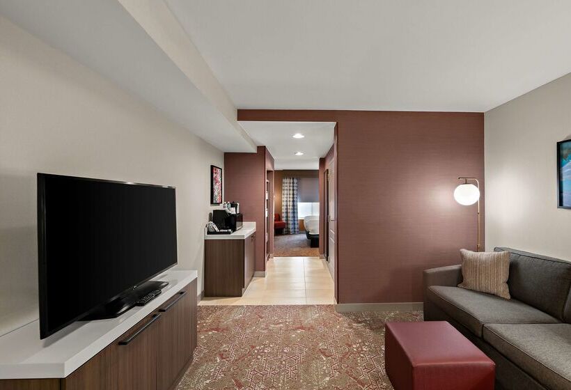 ホテル Hilton Garden Inn Omaha East/council Bluffs