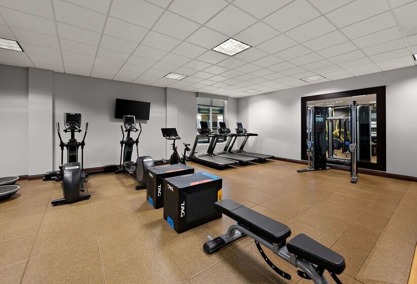 ホテル Hilton Garden Inn Omaha East/council Bluffs