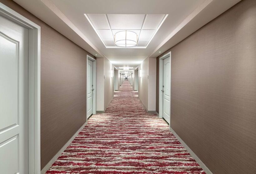 ホテル Hilton Garden Inn Omaha East/council Bluffs