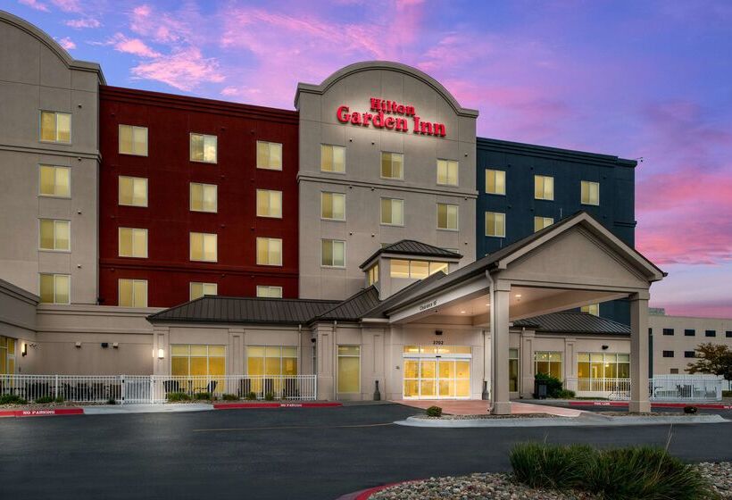 ホテル Hilton Garden Inn Omaha East/council Bluffs