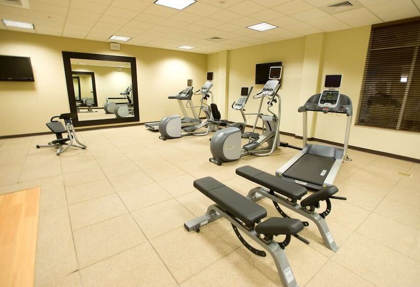 ホテル Hilton Garden Inn Omaha East/council Bluffs