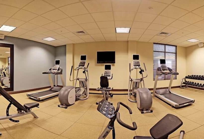 هتل Hilton Garden Inn Omaha East/council Bluffs