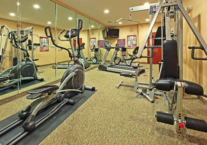 Holiday Inn Express Hotel & Suites Carthage, An Ihg