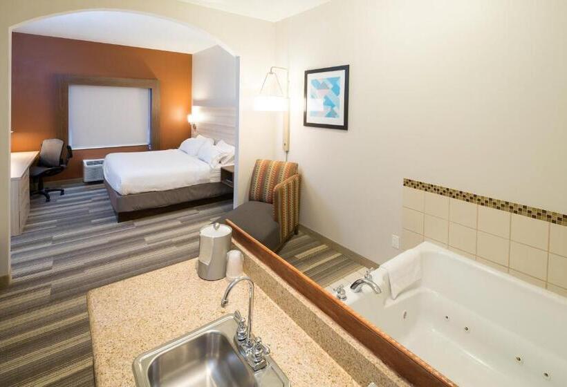 Holiday Inn Express Hotel & Suites Detroit Utica, An Ihg