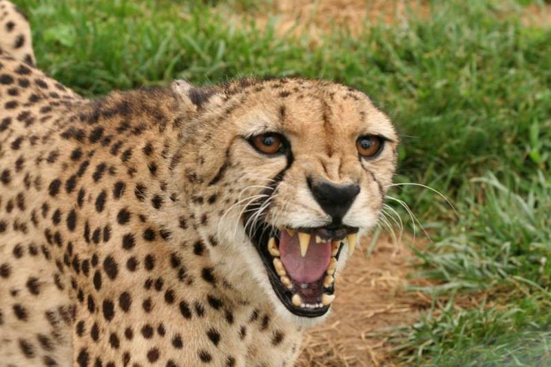 בית מלון כפרי Holiday Inn Express & Suites Zanesville North, An Ihg