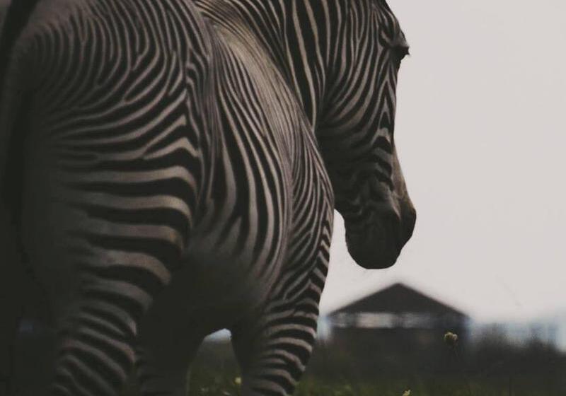 בית מלון כפרי Holiday Inn Express & Suites Zanesville North, An Ihg