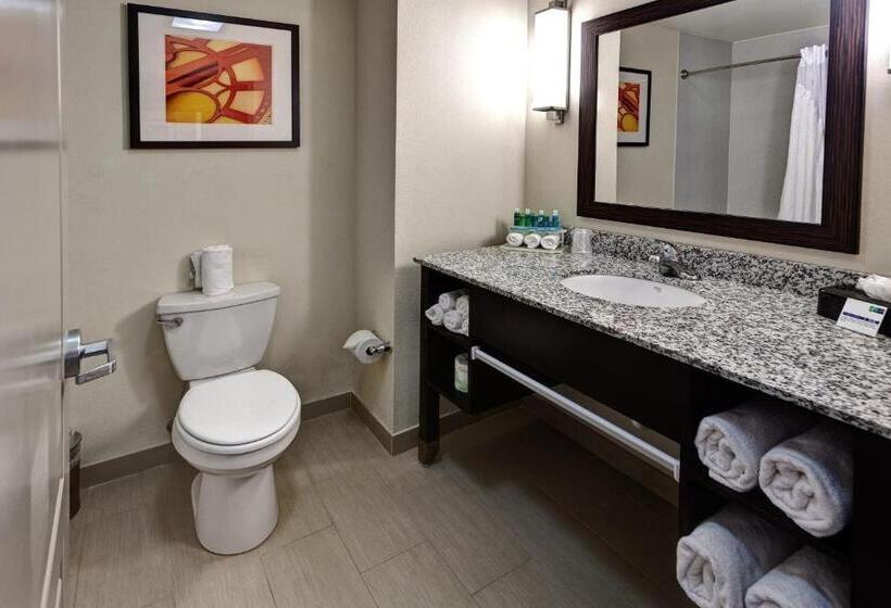 فندق Holiday Inn Express Northwest Maize, An Ihg