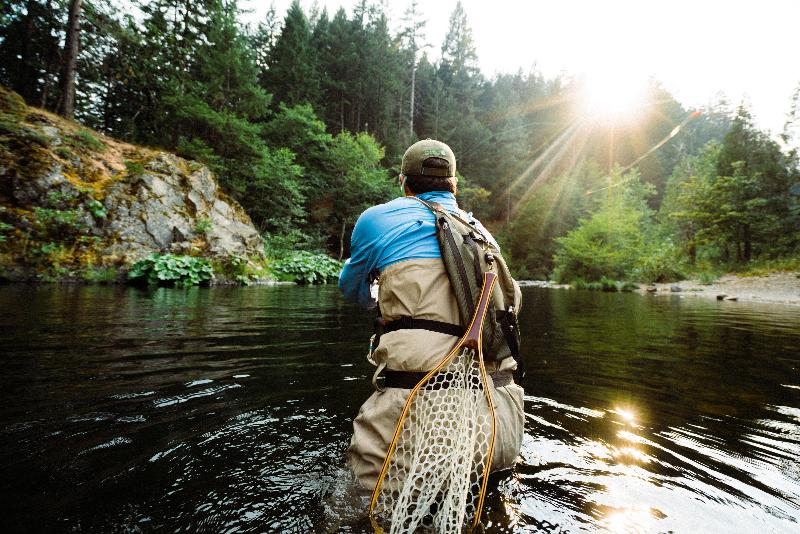 酒店 Holiday Inn Express Yreka Shasta Area, An Ihg