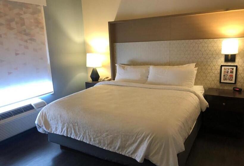 ホテル Holiday Inn Omaha Downtown   Waterpark, An Ihg