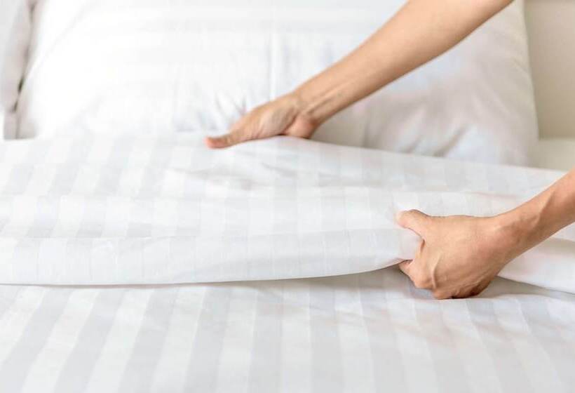 酒店 Magnuson Grand Desoto