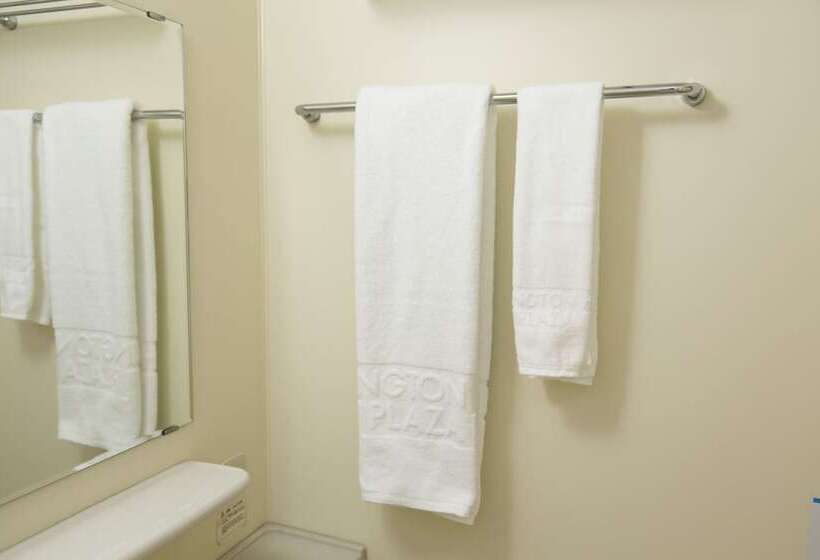 Nagoya Sakae Washington Hotel Plaza