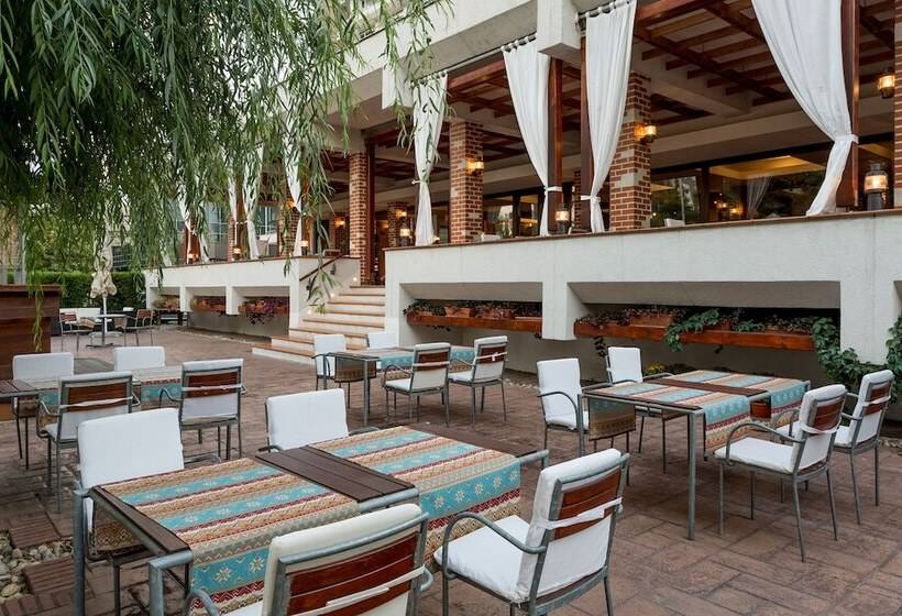 هتل Ramada By Wyndham Bucharest Parc