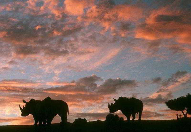 Отель Residence Inn San Diego Rancho Bernardo Scripps Poway