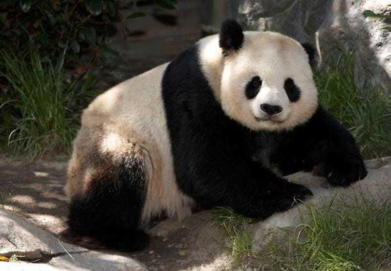 Отель Residence Inn San Diego Rancho Bernardo Scripps Poway