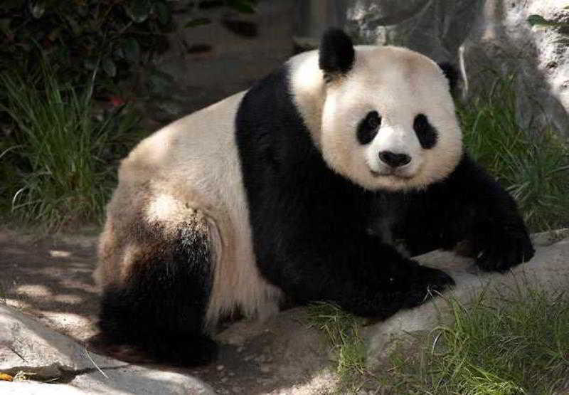 Отель Residence Inn San Diego Rancho Bernardo Scripps Poway