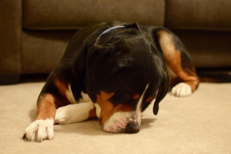 酒店 Residence Inn By Marriott Saratoga Springs