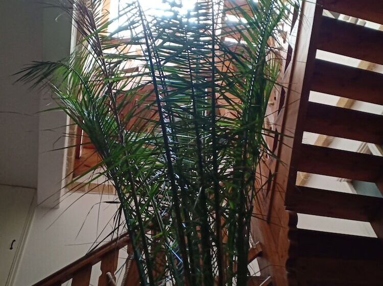 هتل Riad Dar Zayna