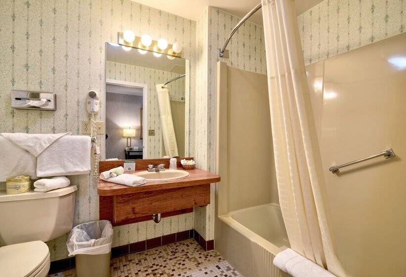 ホテル Roosevelt Inn And Suites Saratoga Springs