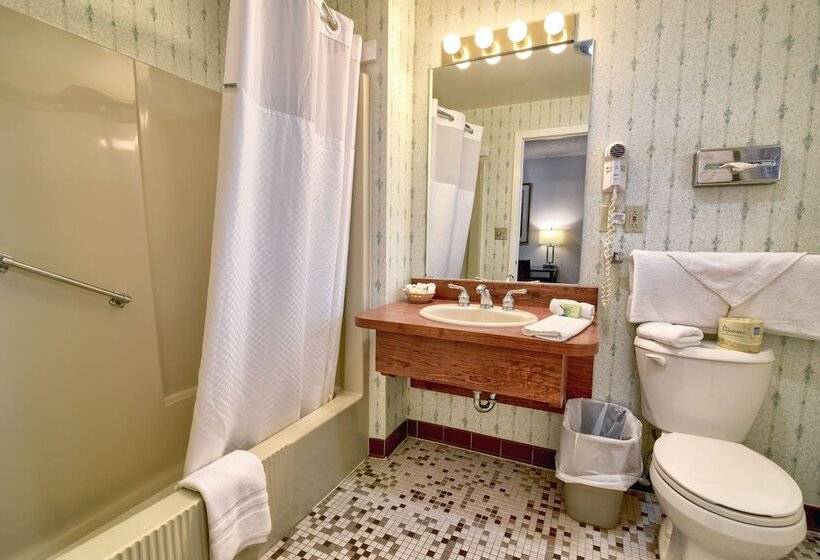 בית מלון כפרי Roosevelt Inn And Suites Saratoga Springs