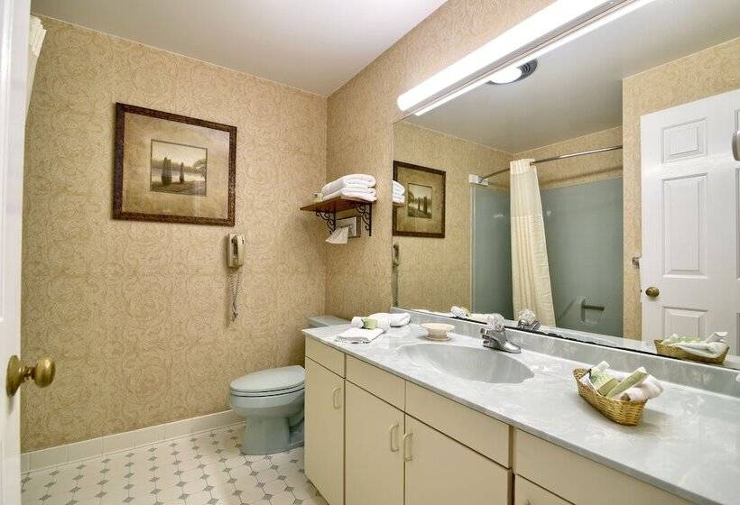 ホテル Roosevelt Inn And Suites Saratoga Springs