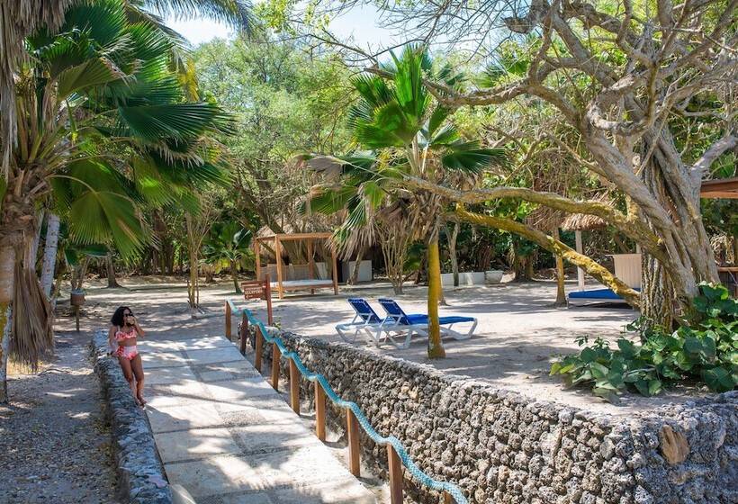 酒店 San Pedro De Majagua