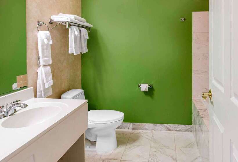 هتل Sleep Inn & Suites