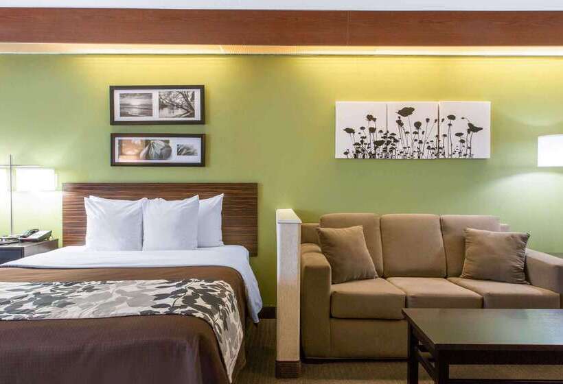 酒店 Sleep Inn & Suites