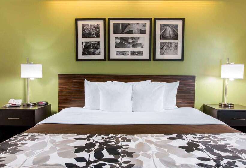 酒店 Sleep Inn & Suites