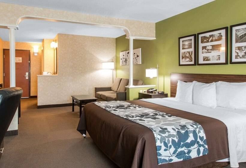 酒店 Sleep Inn & Suites