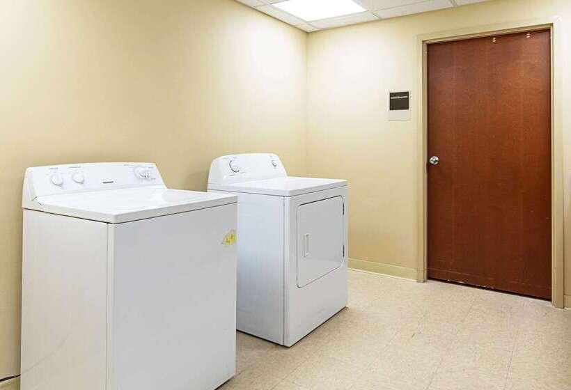 فندق Sleep Inn & Suites Dyersburg I155