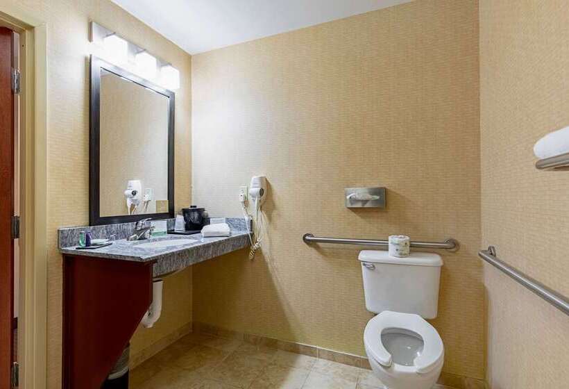 בית מלון כפרי Sleep Inn & Suites Dyersburg I155